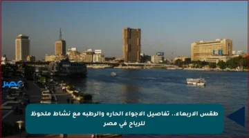 طقس الأربعاء.. تفاصيل الأجواء الحارة والرطبة مع نشاط ملحوظ للرياح في مصر